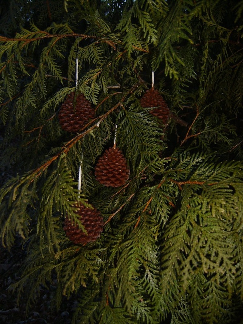 Pinecone Ornament