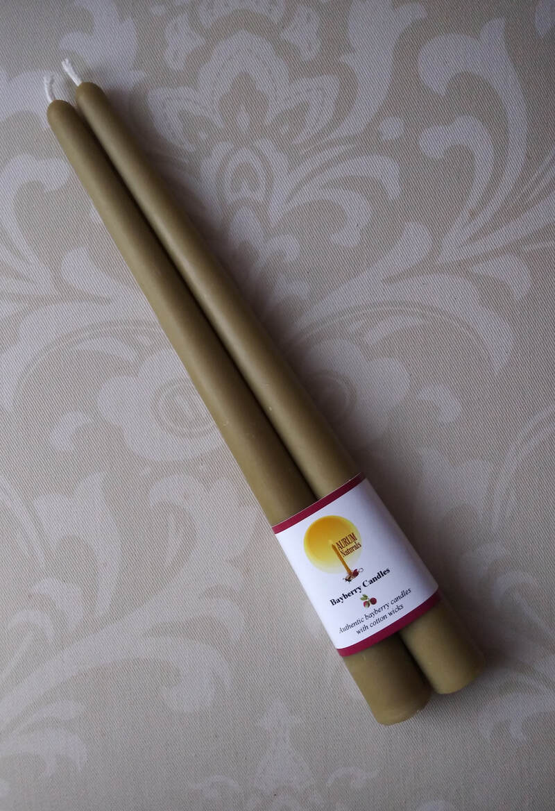 10" Bayberry Taper Pair